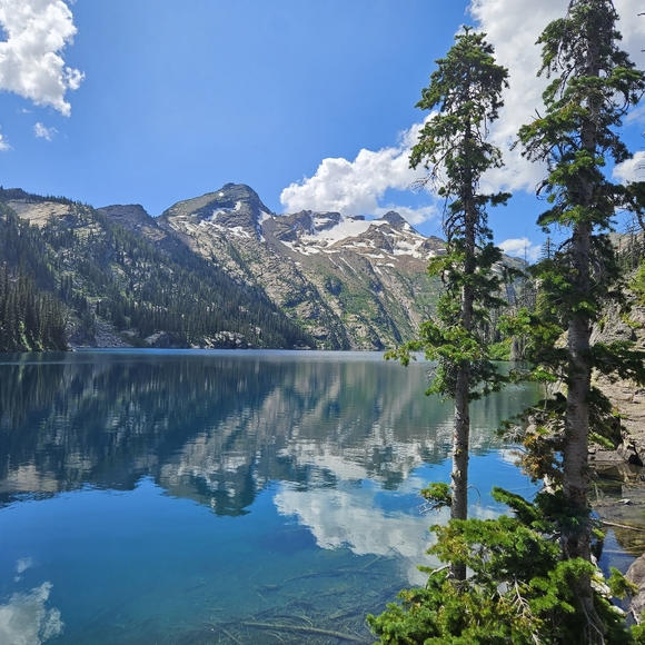 Meet your Posher, Amy - Picture 1 of 1